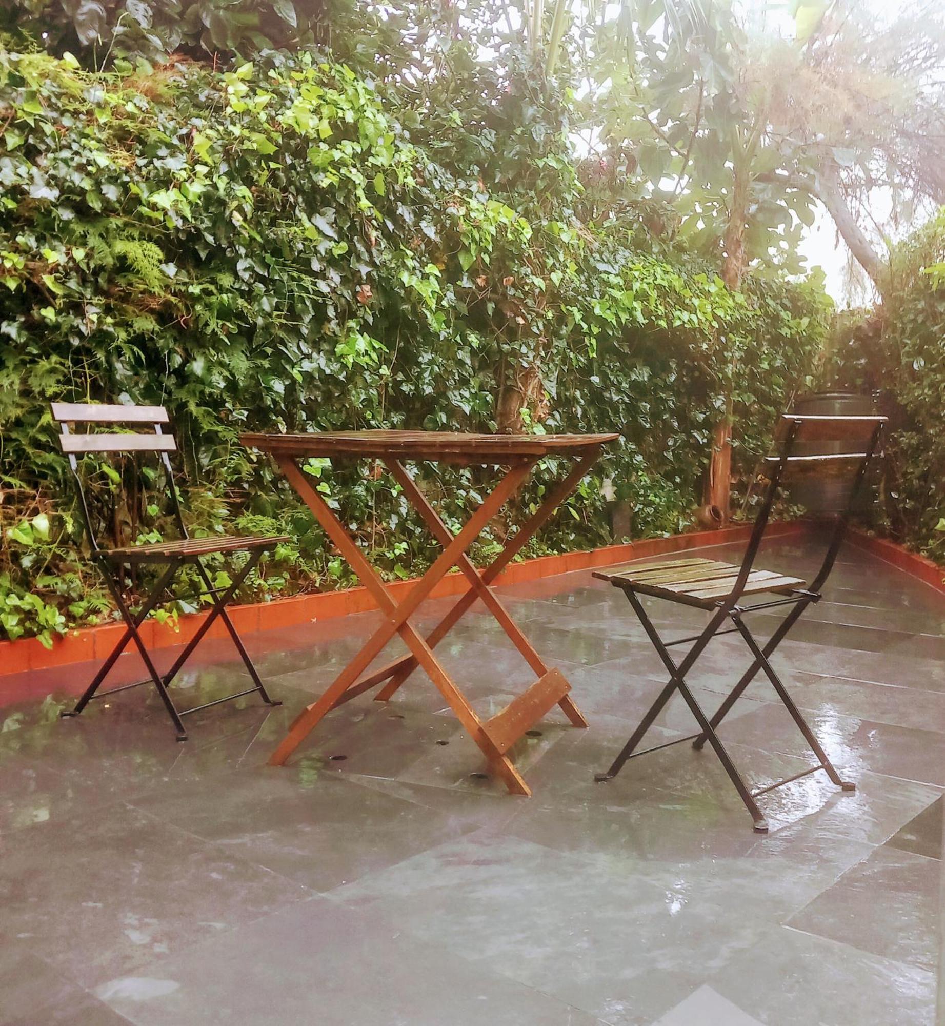 Apartment With Private Garden Πόρτο Εξωτερικό φωτογραφία