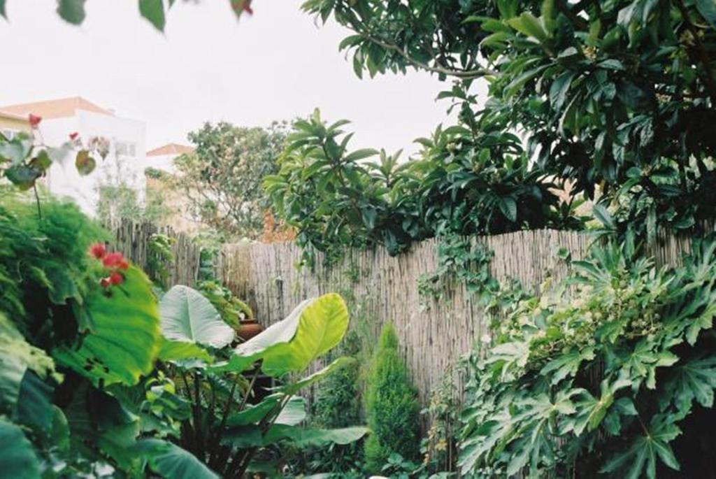 Apartment With Private Garden Πόρτο Δωμάτιο φωτογραφία